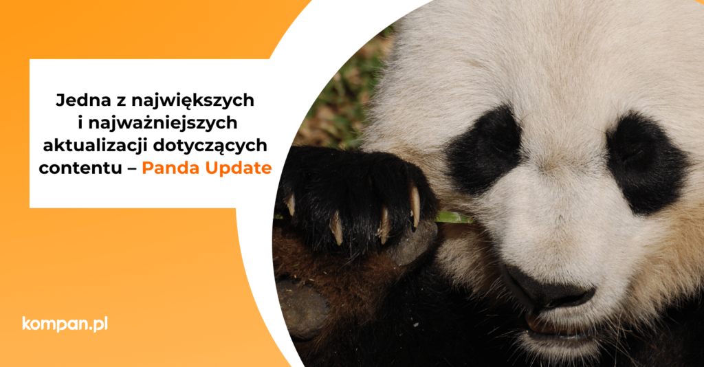 aktualizacja panda update