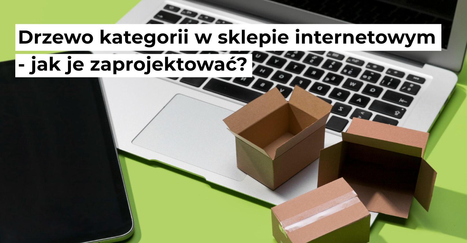 Drzewo kategorii w sklepie internetowym – jak je zaprojektować?